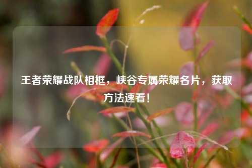 王者荣耀战队相框,峡谷专属荣耀名片,获取方法速看!