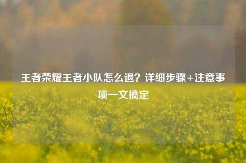 王者荣耀王者小队怎么退？详细步骤+注意事项一文搞定