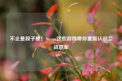 不止是段子梗!Steam这些游戏带你重新认识二战意军