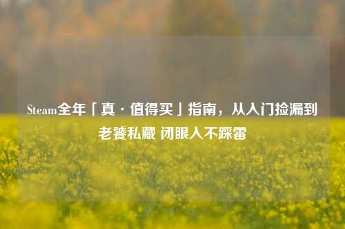 Steam全年「真·值得买」指南,从入门捡漏到老饕私藏 闭眼入不踩雷