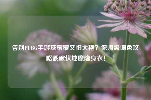 告别PUBG手游灰蒙蒙又怕太艳?保姆级调色攻略戳破伏地魔隐身衣!