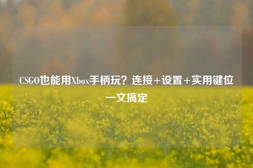 CSGO也能用Xbox手柄玩？连接+设置+实用键位一文搞定