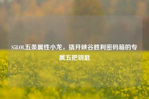 S5LOL五条属性小龙,撬开峡谷胜利密码箱的专属五把钥匙