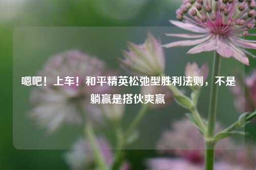 嗯吧！上车！和平精英松弛型胜利法则，不是躺赢是搭伙爽赢