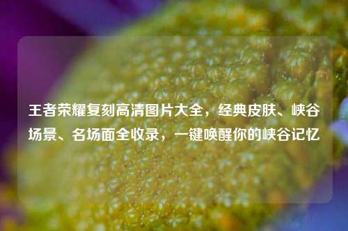 王者荣耀复刻高清图片大全,经典皮肤、峡谷场景、名场面全收录,一键唤醒你的峡谷记忆