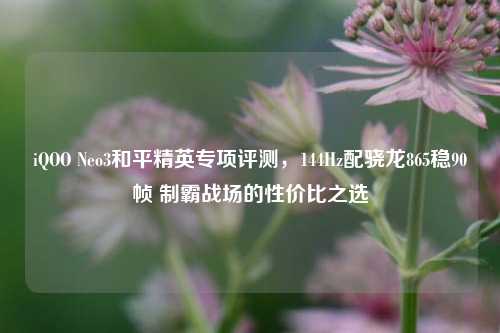 iQOO Neo3和平精英专项评测，144Hz配骁龙865稳90帧 制霸战场的性价比之选