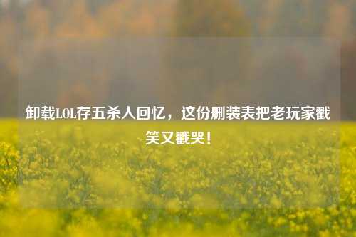 卸载LOL存五杀入回忆,这份删装表把老玩家戳笑又戳哭!