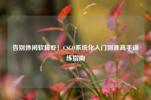 告别休闲软脚虾！CSGO系统化入门到准高手训练指南