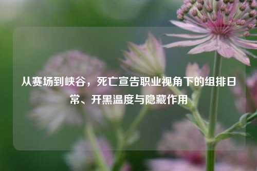 从赛场到峡谷,死亡宣告职业视角下的组排日常、开黑温度与隐藏作用