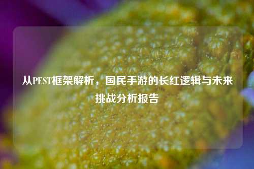 从PEST框架解析,国民手游的长红逻辑与未来挑战分析报告