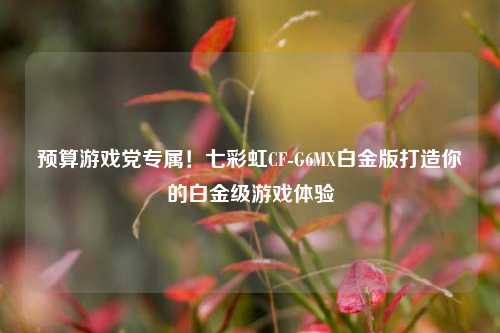 预算游戏党专属!七彩虹CF-G6MX白金版打造你的白金级游戏体验
