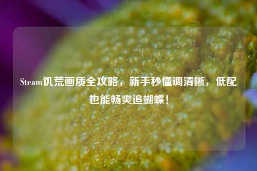 Steam饥荒画质全攻略,新手秒懂调清晰,低配也能畅爽追蝴蝶!