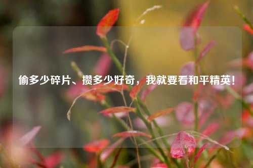 偷多少碎片、攒多少好奇,我就要看和平精英!
