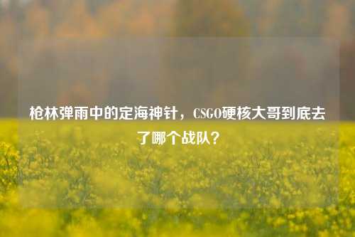 枪林弹雨中的定海神针,CSGO硬核大哥到底去了哪个战队?