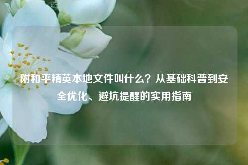 附和平精英本地文件叫什么?从基础科普到安全优化、避坑提醒的实用指南