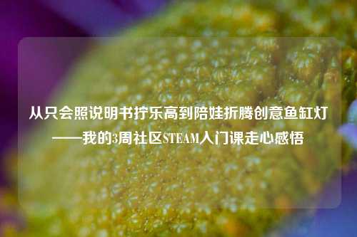 从只会照说明书拧乐高到陪娃折腾创意鱼缸灯——我的3周社区STEAM入门课走心感悟