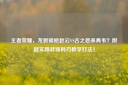 王者荣耀,龙胆银枪赵云VS古之恶来典韦?附超实用战场利刃教学打法!