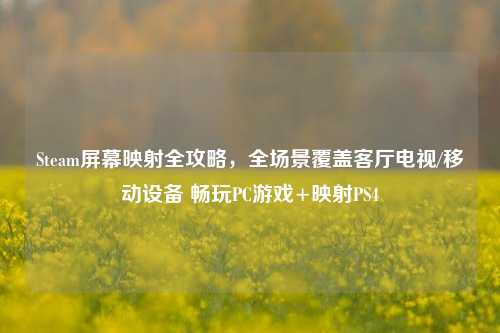 Steam屏幕映射全攻略,全场景覆盖客厅电视/移动设备 畅玩PC游戏+映射PS4