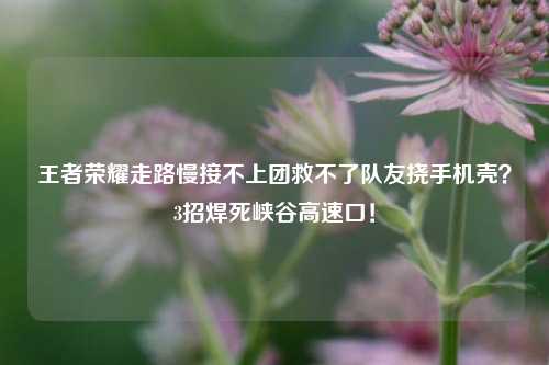 王者荣耀走路慢接不上团救不了队友挠手机壳？3招焊死峡谷高速口！