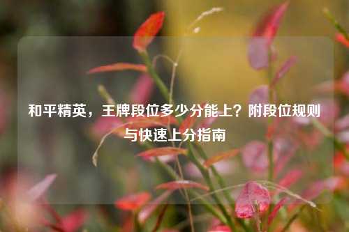 和平精英，王牌段位多少分能上？附段位规则与快速上分指南