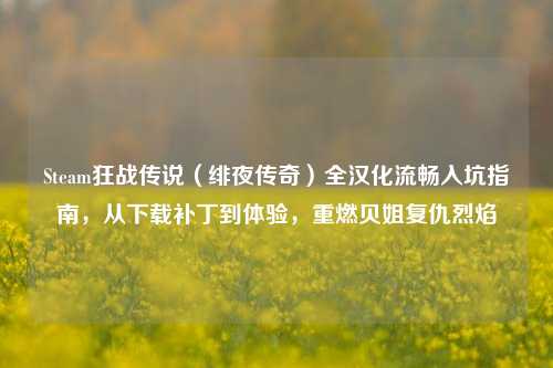 Steam狂战传说(绯夜传奇)全汉化流畅入坑指南,从下载补丁到体验,重燃贝姐复仇烈焰