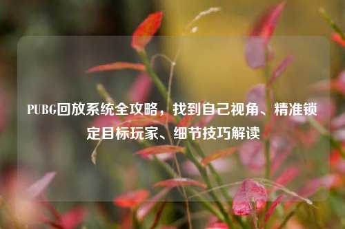 PUBG回放系统全攻略，找到自己视角、精准锁定目标玩家、细节技巧解读