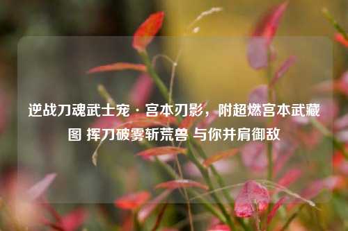 逆战刀魂武士宠·宫本刃影,附超燃宫本武藏图 挥刀破雾斩荒兽 与你并肩御敌