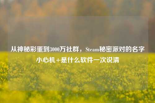 从神秘彩蛋到3000万社群,Steam秘密派对的名字小心机+是什么软件一次说清
