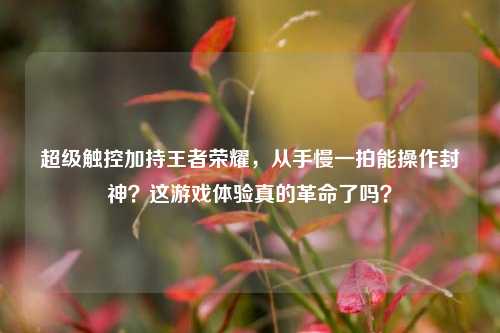超级触控加持王者荣耀，从手慢一拍能操作封神？这游戏体验真的革命了吗？