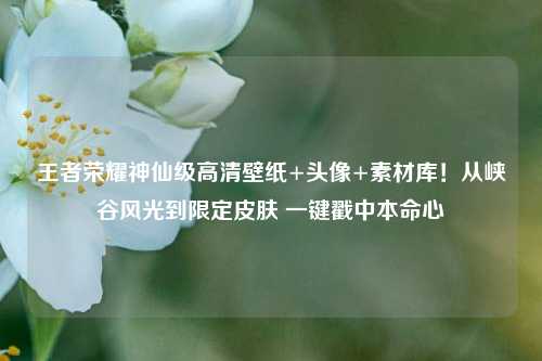 王者荣耀神仙级高清壁纸+头像+素材库！从峡谷风光到限定皮肤 一键戳中本命心