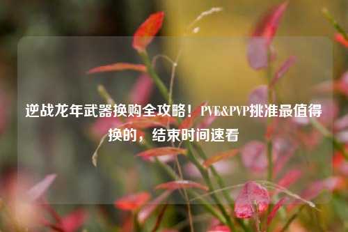 逆战龙年武器换购全攻略!PVE&PVP挑准最值得换的,结束时间速看