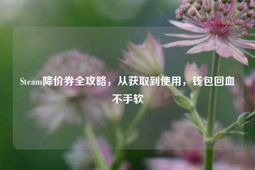 Steam降价券全攻略，从获取到使用，钱包回血不手软