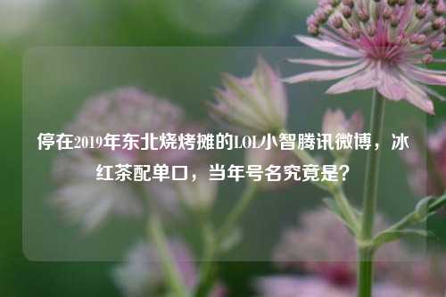 停在2019年东北烧烤摊的LOL小智腾讯微博,冰红茶配单口,当年号名究竟是?
