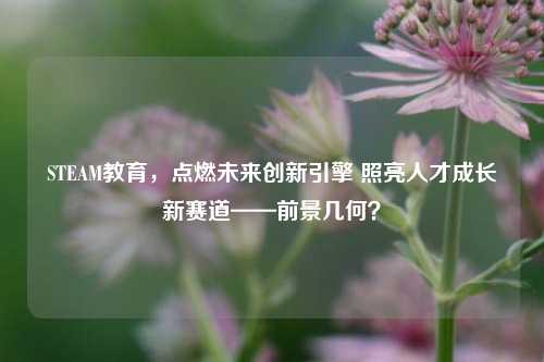 STEAM教育，点燃未来创新引擎 照亮人才成长新赛道——前景几何？